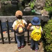 anigoの画像
