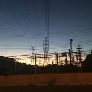 正直者の画像