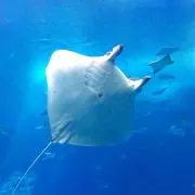 アシストエンタープライズ