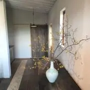 はぴとも