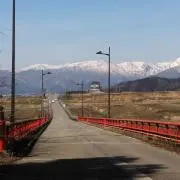 かつの画像