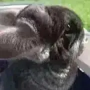 音和
