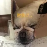 もも