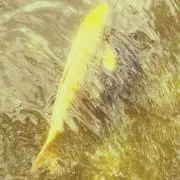 R3Y3Tの画像
