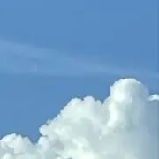 はるの画像