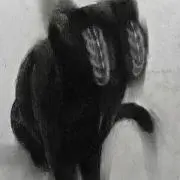 あき