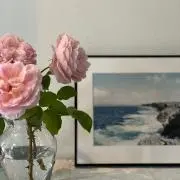 ぽち