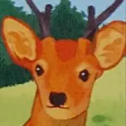MineNaMaruの画像