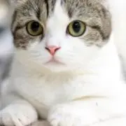 お値下げ交渉→大歓迎❣️｜マダオのお店の画像