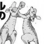 がっさーの画像