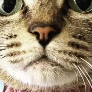 mgpmの画像