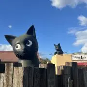 ニナの画像