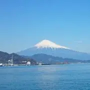 シシ丸