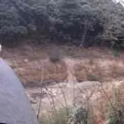 じん