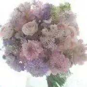 みるふらわーの画像
