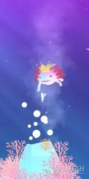 ショコラの画像