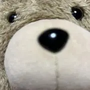 tedの画像
