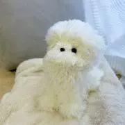 maruii編みに夢中なハンドメイド作家の画像