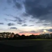 IS & ISの画像