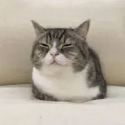 はーちゃん♡