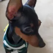 ルックン