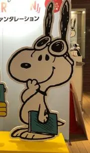 まあまな　アクセサリーおまとめ企画❣️の画像