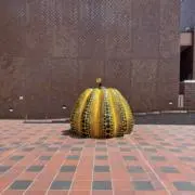 まーの画像
