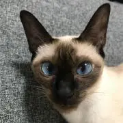 【断捨離中美容師】プロフ必読！即返信不可