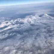 がぶ