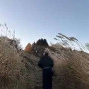 くりぼ
