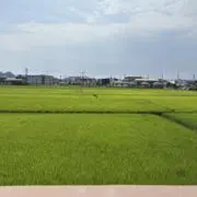 natsukiの画像