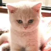 デヒ