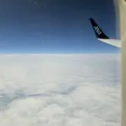 エタリオウの画像