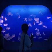 T__419の画像