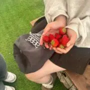 ここっみーの画像