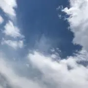 Ｍᕱ⑅ᕱ゛の画像