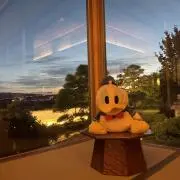マッキーの画像