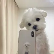 puni☺︎の画像
