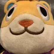 ハムちゃんの画像