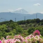 Migiの画像