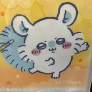 たんたんの画像
