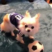 のんの画像