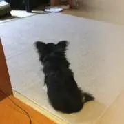★ほぼ購入専用★