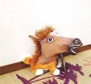 ゆーきの画像