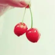 ＊ハナ＊の画像