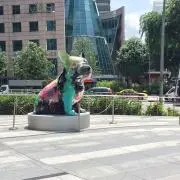 ジャングル