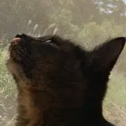 トオル