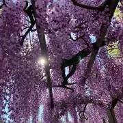 キースジャガー