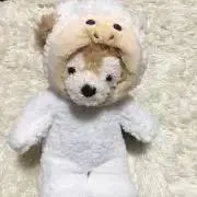 くまの画像