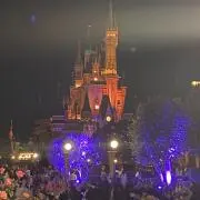 link and trueの画像
